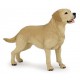 Labrador Perro de Terapia y Asistencia Figura