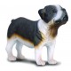 Copia Perro Raza BullDog Miniatura