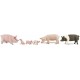 Ganado Porcino Figuras Cerdo Lechal Gorrino Puerco Marrano