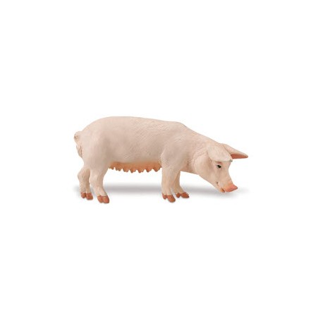 Ganado Porcino Figuras Cerdo Lechal Gorrino Puerco Marrano