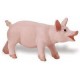 Ganado Porcino Figuras Cerdo Lechal Gorrino Puerco Marrano