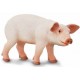 Ganado Porcino Figuras Cerdo Lechal Gorrino Puerco Marrano